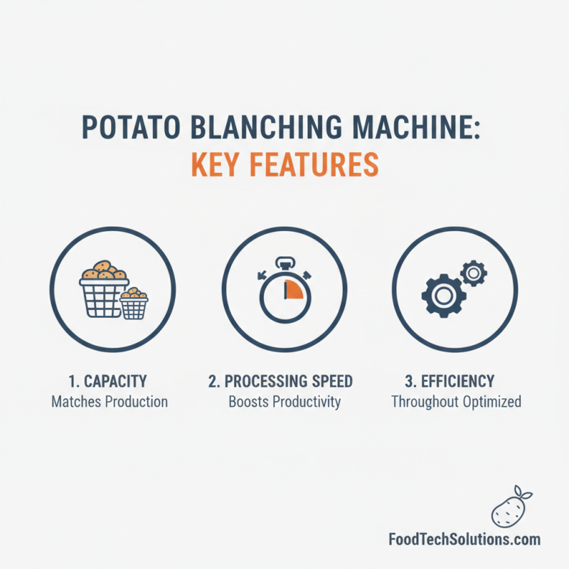 Ultimate Guide to Choosing the Best Potato Blanching Machine?