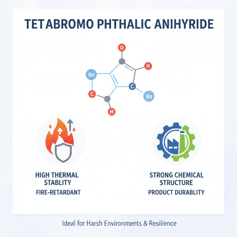 Why Choose Tetrabromo Phthalic Anhydride for Your Needs?