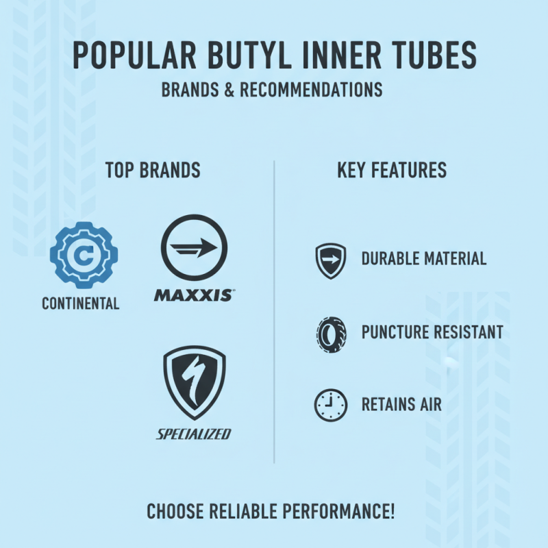 2026 How to Choose the Best Butyl Inner Tubes for Your Needs?