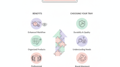 Why Choose the Best Lash Tray for Your Business Needs?