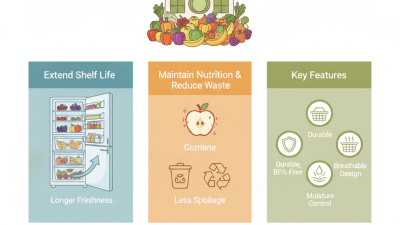 10 Best Storage Containers for Vegetables and Fruits?