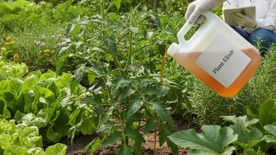 The Best Water Soluble Fish Fertilizer for Healthy Gardens and Plants?