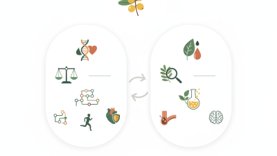 Why Choose Berberis Extract and Berberine Hcl for Your Needs?