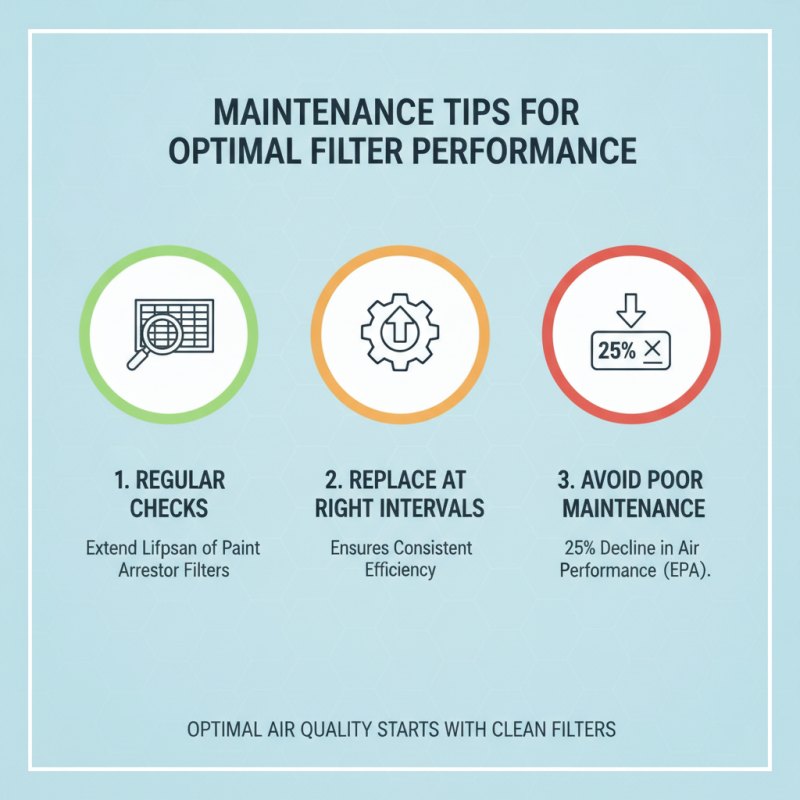 China Best Paint Arrestor Floor Filter A Comprehensive Guide?