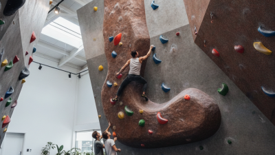 2026 How to Choose Resin Rock Climbing Decoration L for Your Needs?