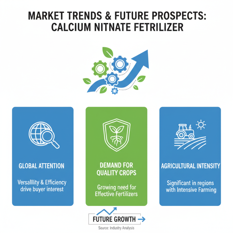 2026 Best Calcium Nitrate Fertilizer for Global Buyers?