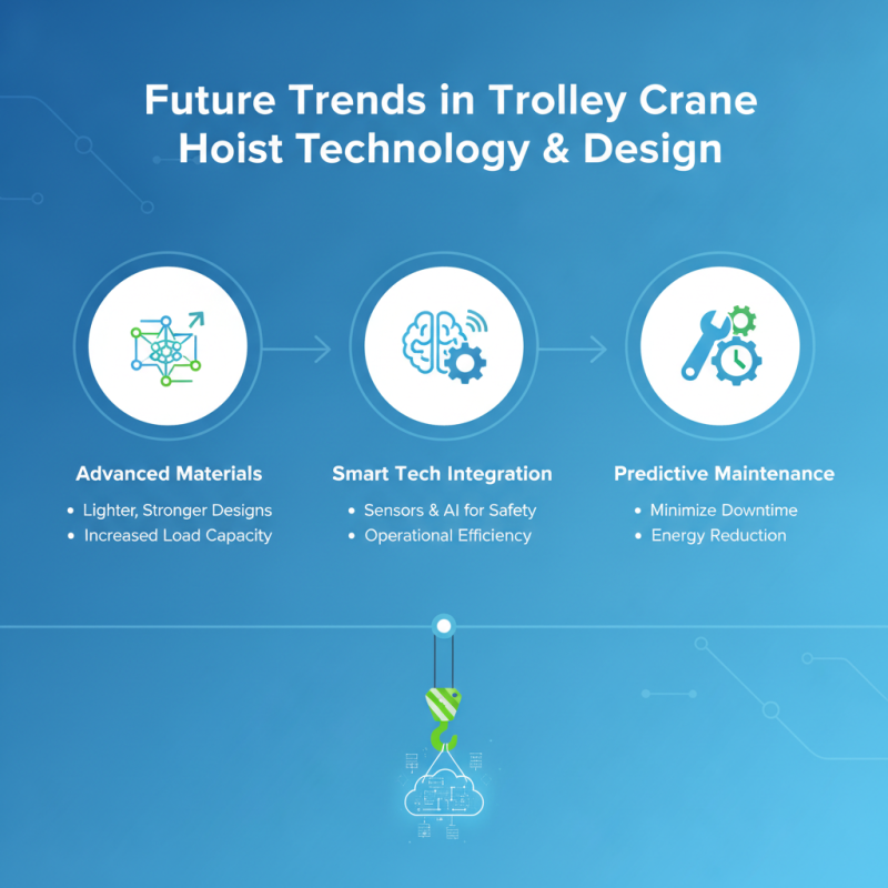 2026 Best Trolley Crane Hoist Options for Global Buyers?