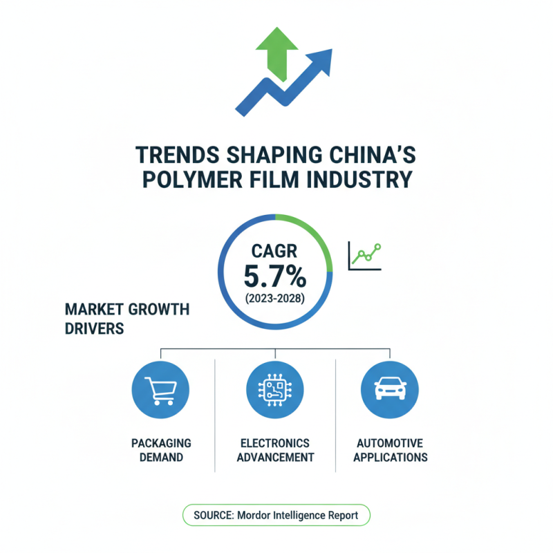 China Top Polymer Film Innovations and Trends in the Industry?