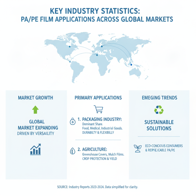 Top 10 Pa Pe Film Ideas for Global Buyers to Explore?