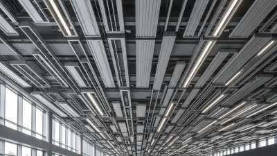 Top 10 Industrial Aluminium Ceiling Extrusions for Your Next Project?