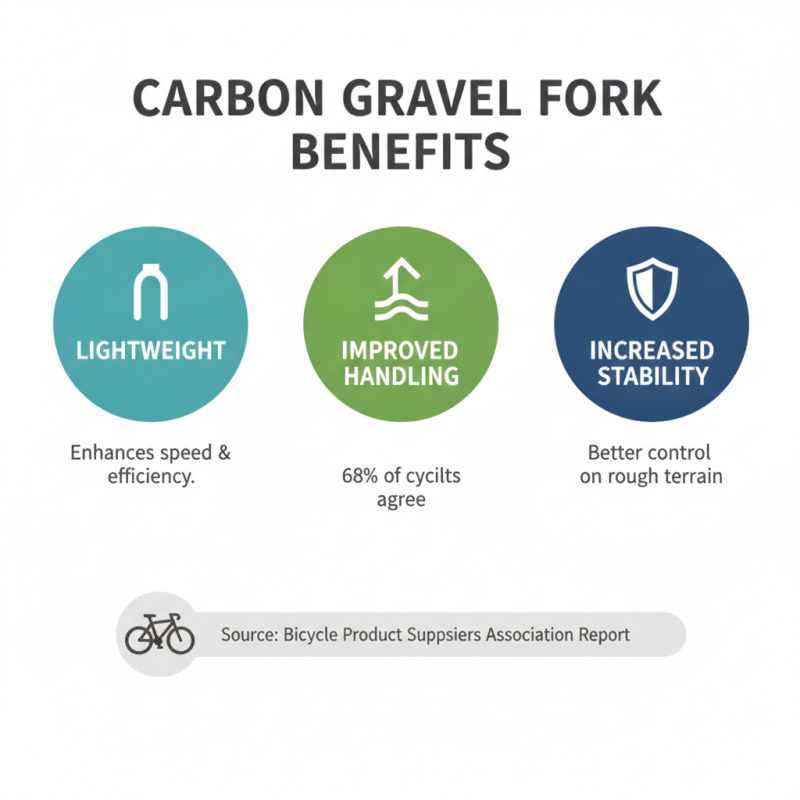 2026 Best Carbon Gravel Fork Features and Benefits Explained