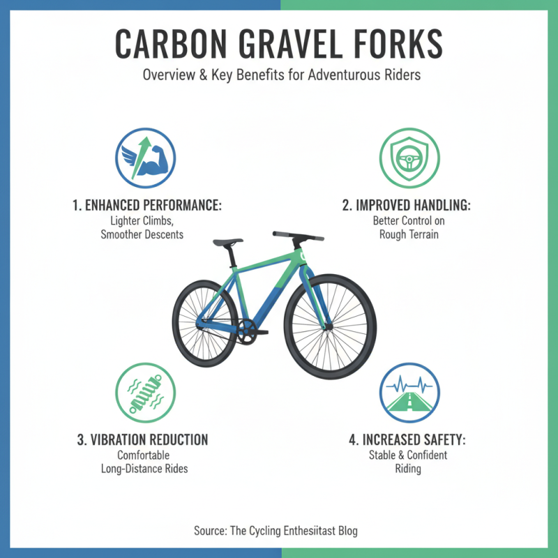 2026 Best Carbon Gravel Fork Features and Benefits Explained