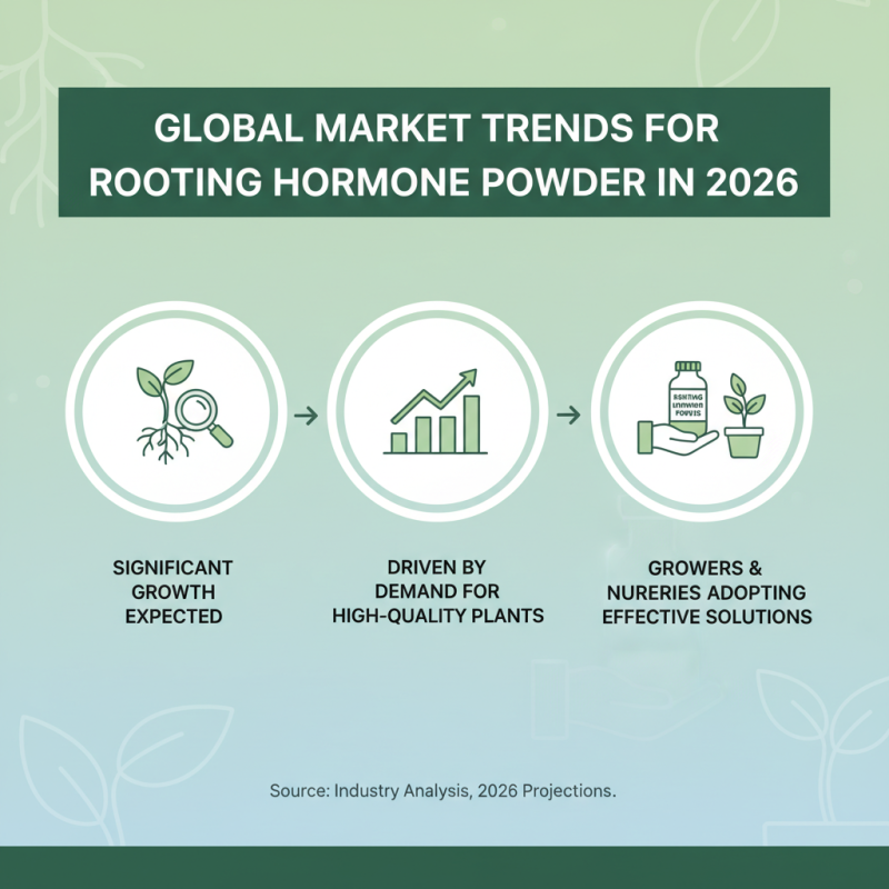 2026 Top Rooting Hormone Powder Benefits for Global Buyers?