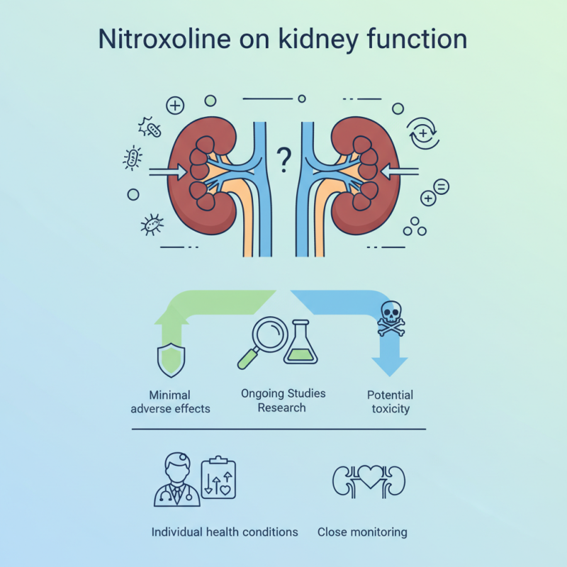 How Nitroxoline Affects Kidney Function in Patients?