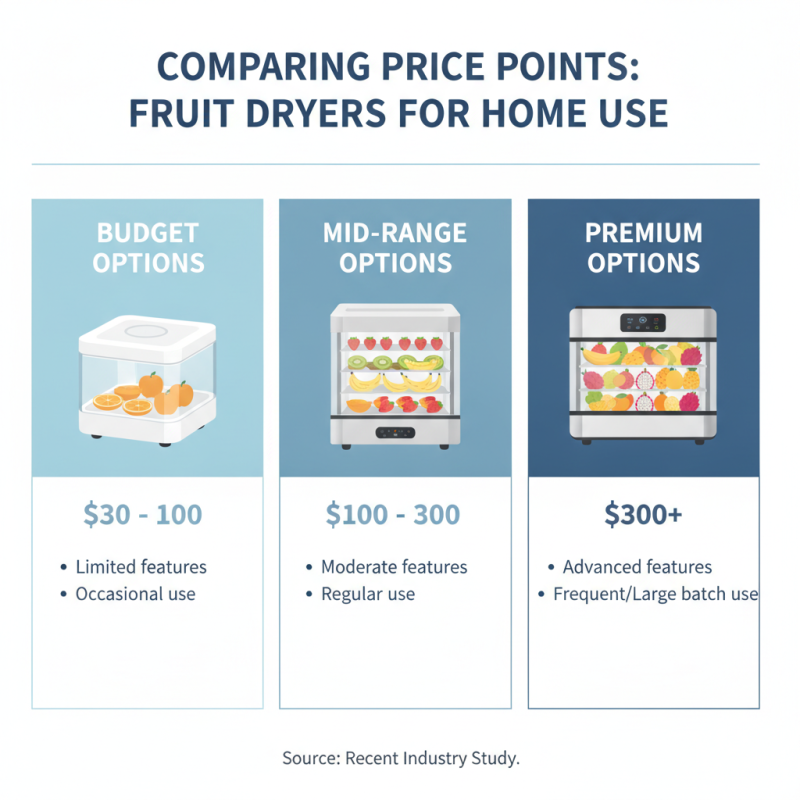 Best Fruit Dryers for Home Use How to Choose the Right One?