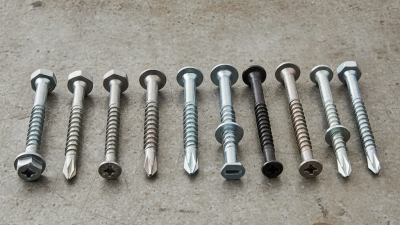 Top 10 Self Drilling Screw Types for Your Project Needs?