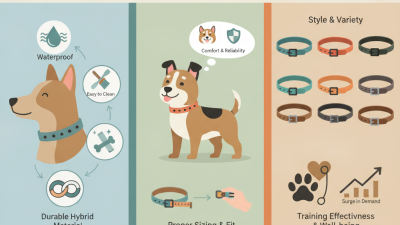 Top Benefits of Biothane Collars for Dogs Tips and Tricks?