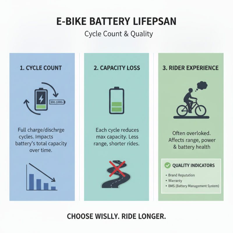 Essential Tips for Choosing E Bike Li Ion Battery Correctly?