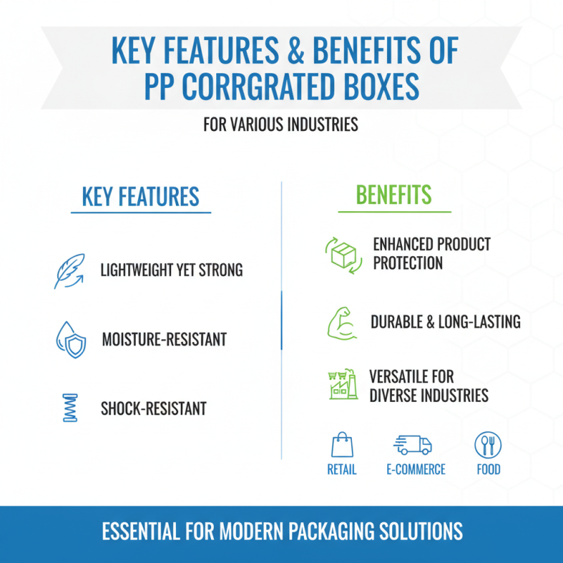 2026 Best Pp Corrugated Box Buying Guide for Global Buyers