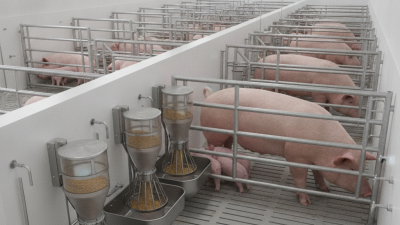 Top Pig Farming Equipment You Need for Successful Farming?