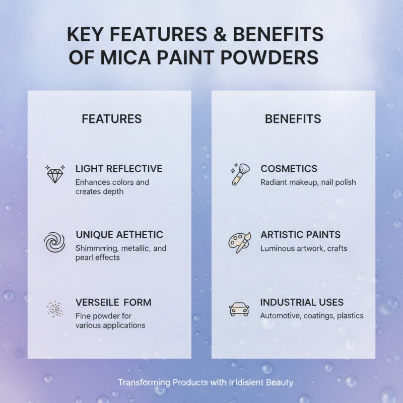 Top Mica Paint Powder Suppliers for Global Buyers?