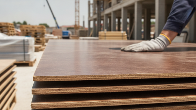 Top 10 Tips for Choosing the Best Film Faced Plywood