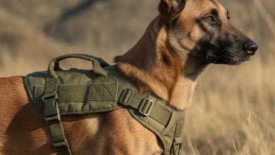 How to Choose the Right Military Dog Harness Set for Your Needs?