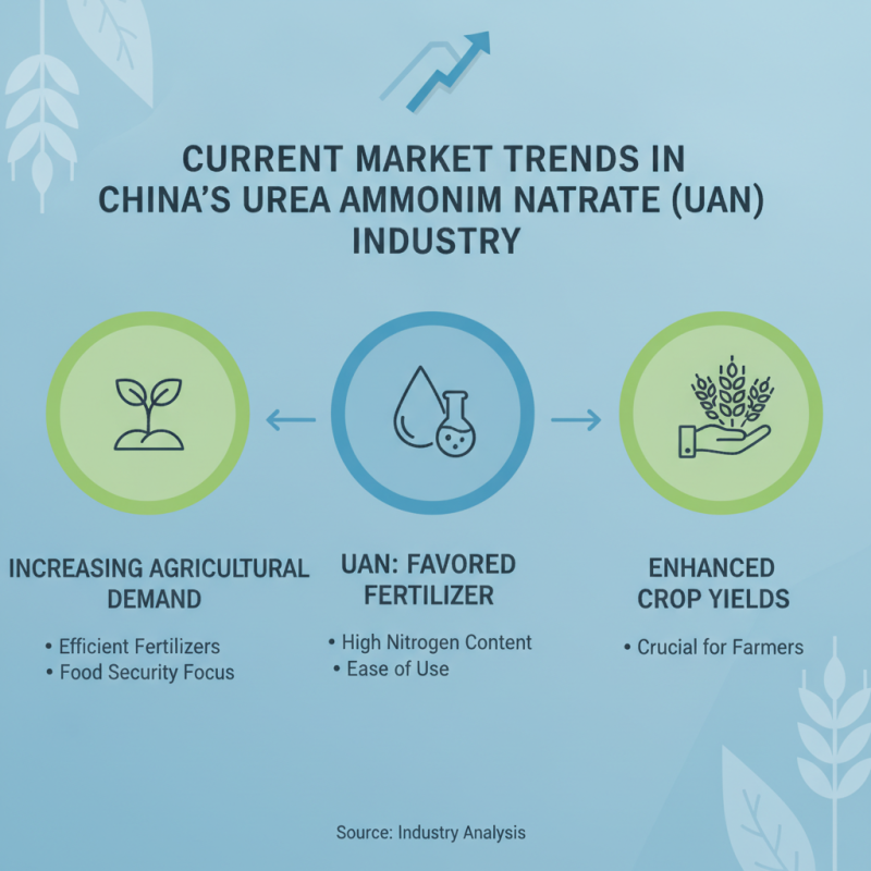 China Top Urea Ammonium Nitrate Uses Benefits and Market Trends