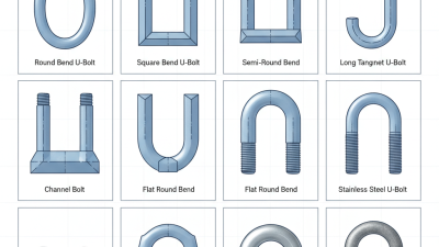 Top 10 U Bolt Types Every Buyer Should Know About?
