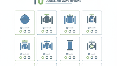 Top 10 Double Air Valve Options for Global Buyers?