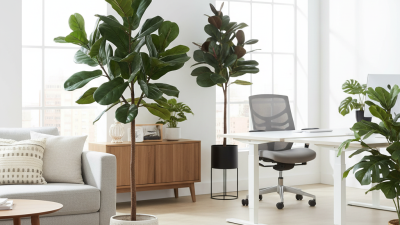 Why Choose Large Artificial Plants for Home and Office Decor?