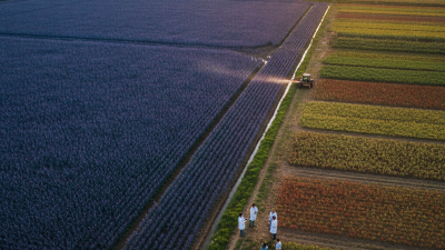 Top Strategies for Using Pigment Fertilizer Dyeing Worldwide?