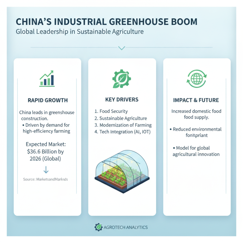 Best Industrial Greenhouses in China for Global Buyers?