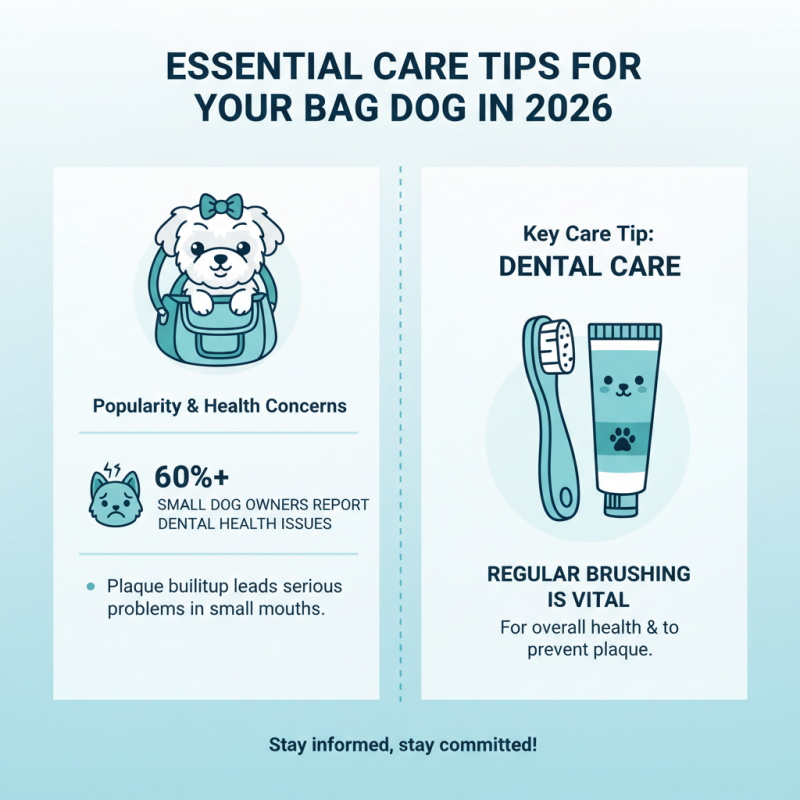 2026 Top Bag Dogs Trends What You Need to Know?