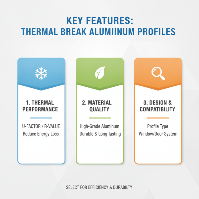 2026 Best Thermal Break Aluminum Profile Options for Your Projects?