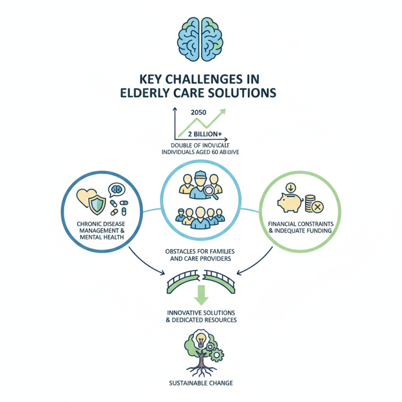 What are the Key Challenges in Elderly Care Solutions?
