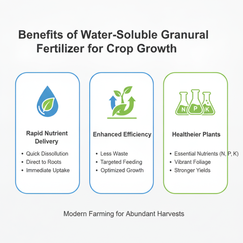 Why Choose Water Soluble Granular Fertilizer for Your Crops?