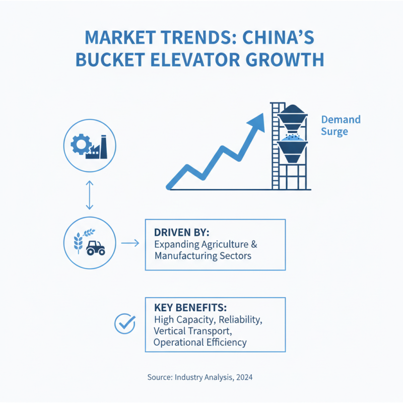 Top Bucket Elevator Suppliers in China to Boost Your Business?