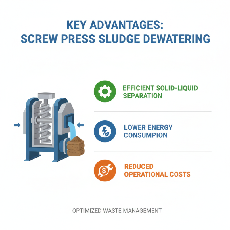 Top 10 Sludge Dewatering Screw Press Benefits for Global Buyers?