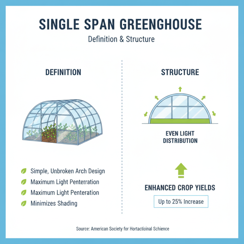 What is a Single Span Greenhouse and Its Benefits for Growers?