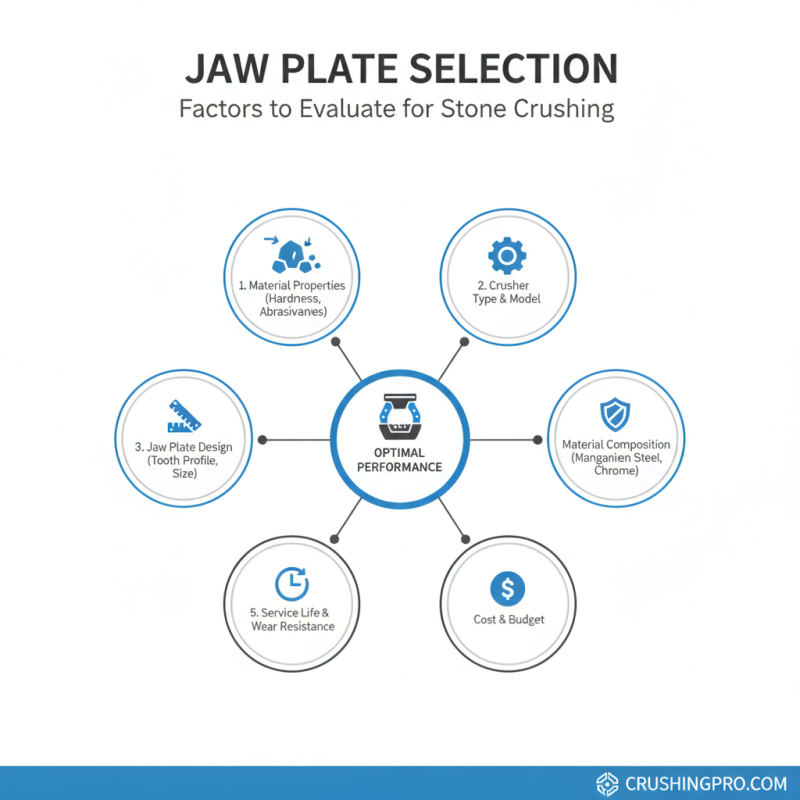 Best Jaw Plates For Crushing Stone in 2026 What to Consider?