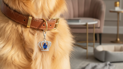 What is a Luxury Dog Collar Charm and Why You Need It?