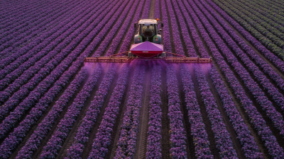 Top Uses of Sunrise Violet Fertilizer Dyeing in Agriculture?