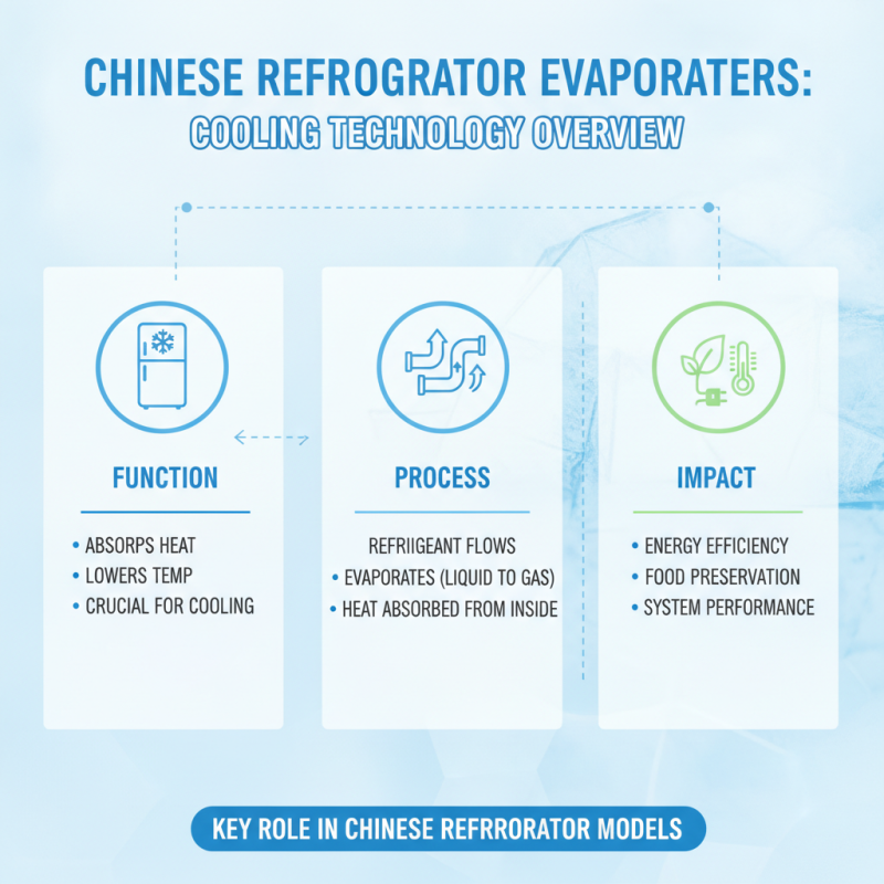 China Best Refrigerator Evaporator Features and Benefits Explained