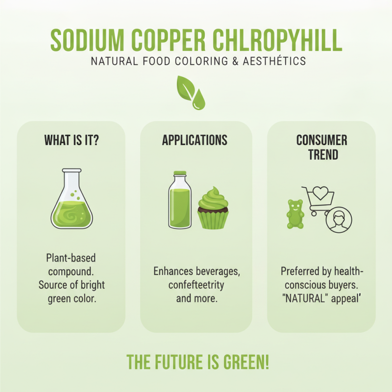 2026 Top Uses of Sodium Copper Chlorophyll for Global Buyers?