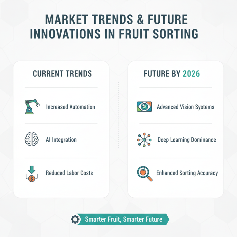 2026 Best Fruit Sorting Machine for Global Buyers?