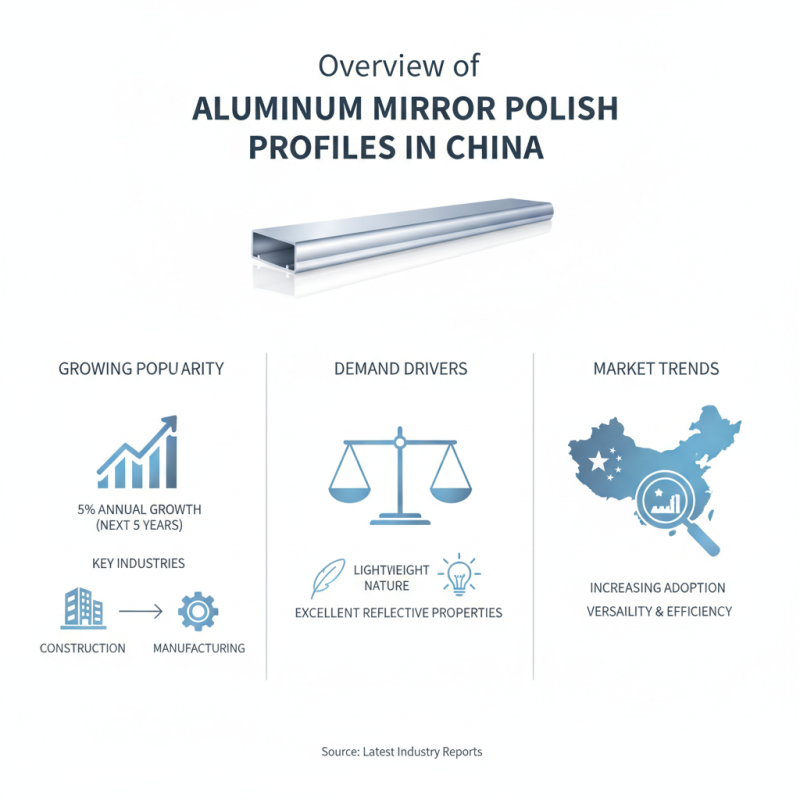 China Best Aluminum Mirror Polish Profile Supplier for Global Buyers?