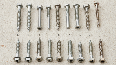 Top 10 Stainless Concrete Screws You Should Buy Online?