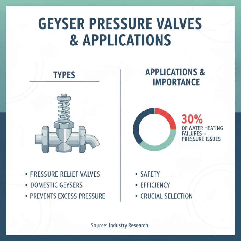 How to Choose the Right Geyser Pressure Valve for Your Needs?