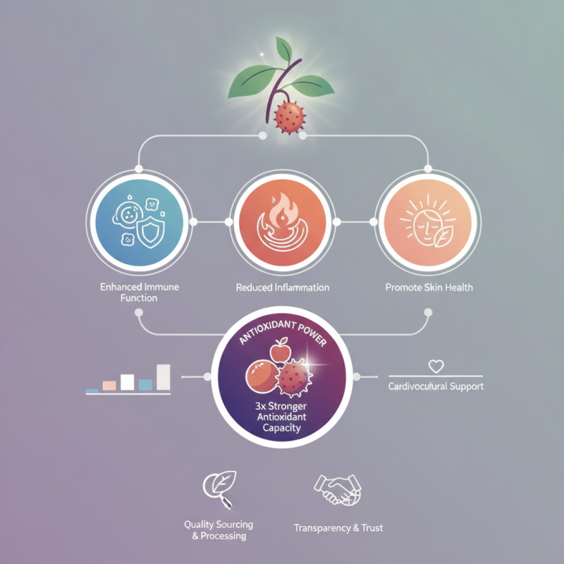 What are the benefits of Rosa Roxburghii Extract in 2026?